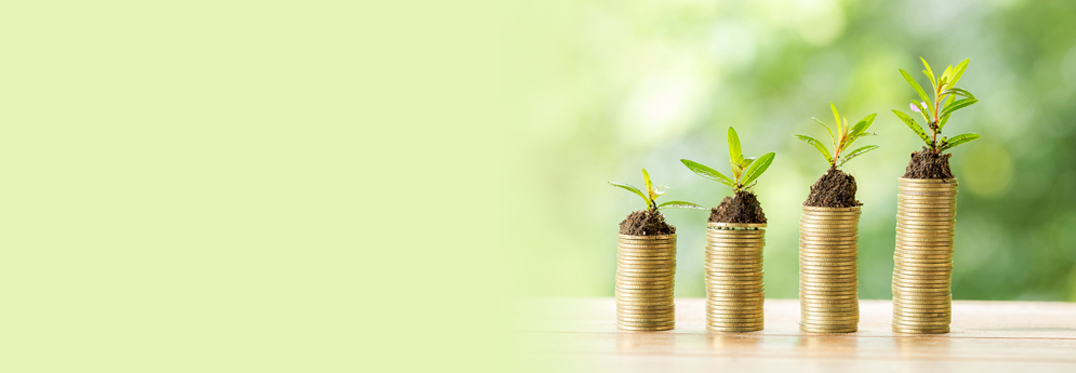 Recurring Deposit Scheme